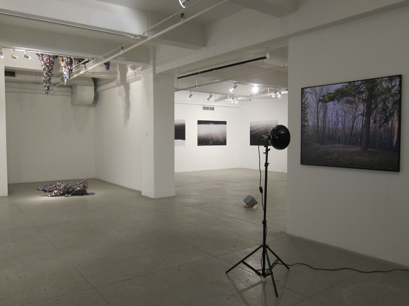  Installation view of  Distant Images, Local Positions  