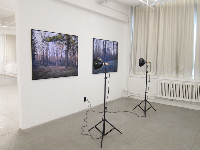   Regina Mamou,   Proposed Vortex,  2013. Digital C-prints, floodlights, black light bulbs, chalk. 
