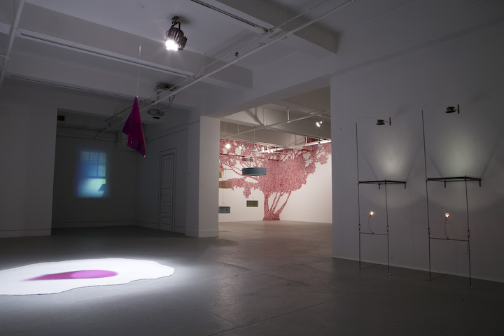Installation view of In Residence