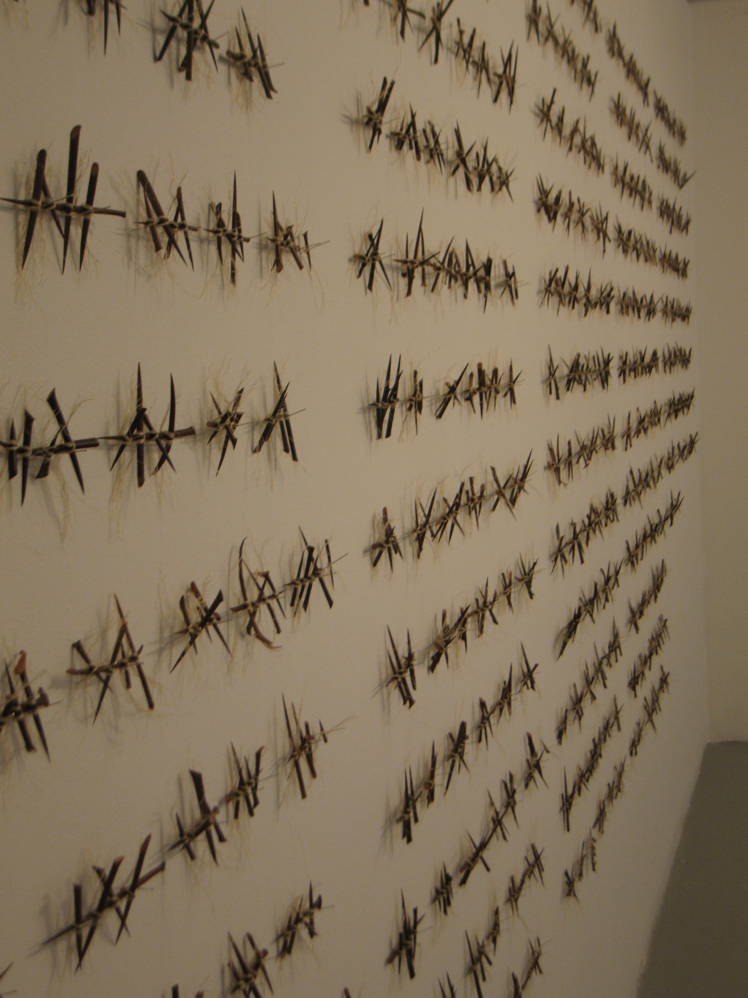   Cui Fei,   Not yet titled, &nbsp;2009. Installation: thorns, thread, dimensions variable. 