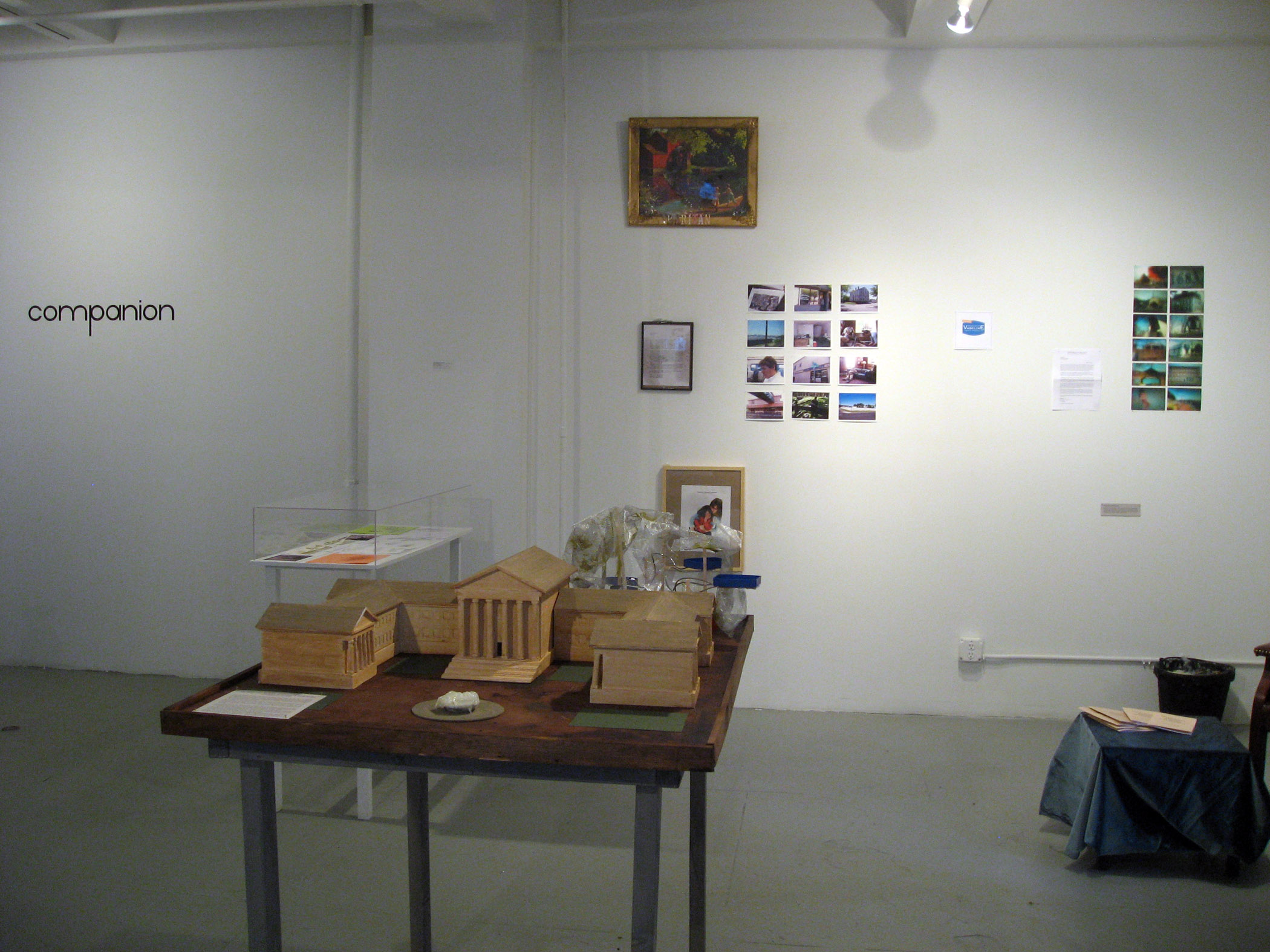  Installation view of  Companion  