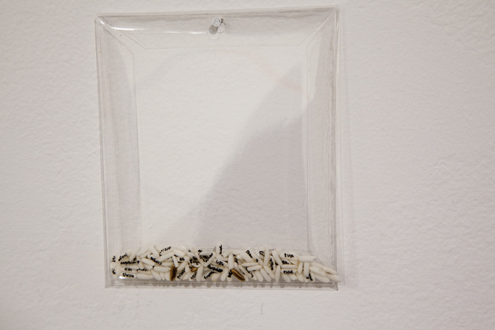   Trong Gia Nguyen,   Campos Anthology,  2011. Rice kernels, mylar, ink, gold paint, 4 x 3 x ¼ inches each. 