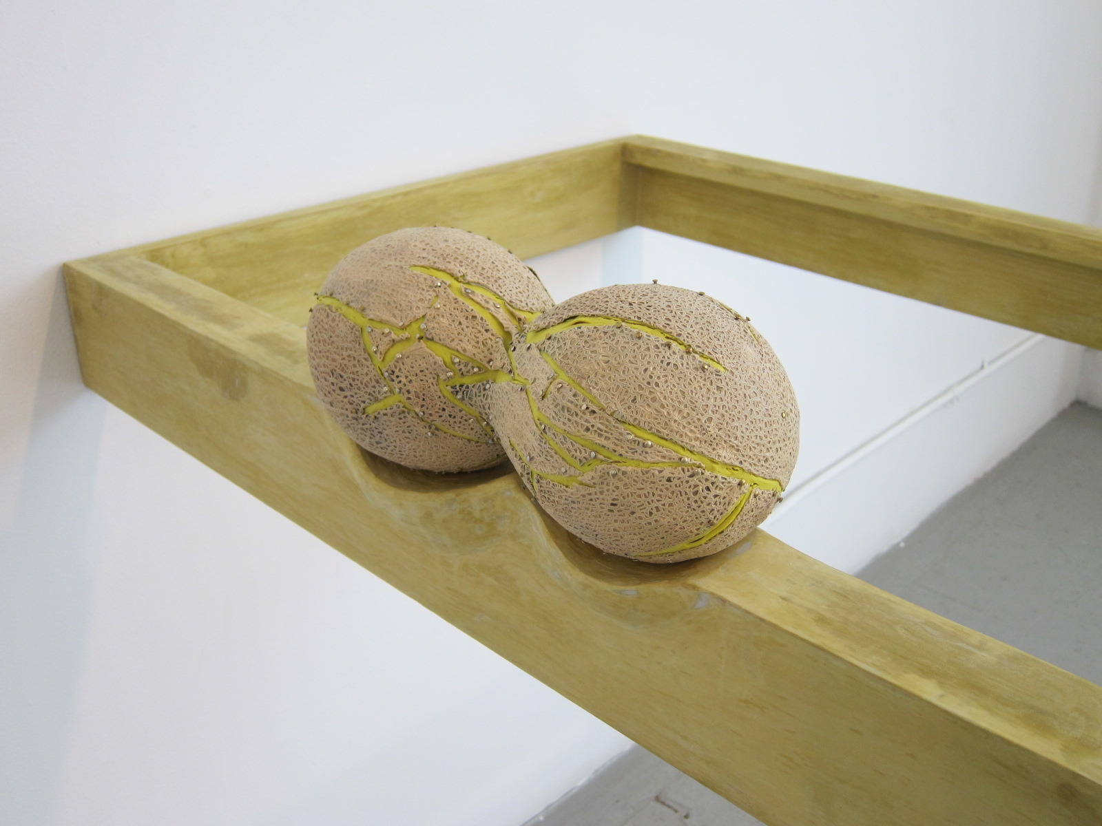   Alina Tenser,   FruitNut , 2011-present. Cantaloupe skin, foam, wood, aluminum, aqua resin, wood putty.   