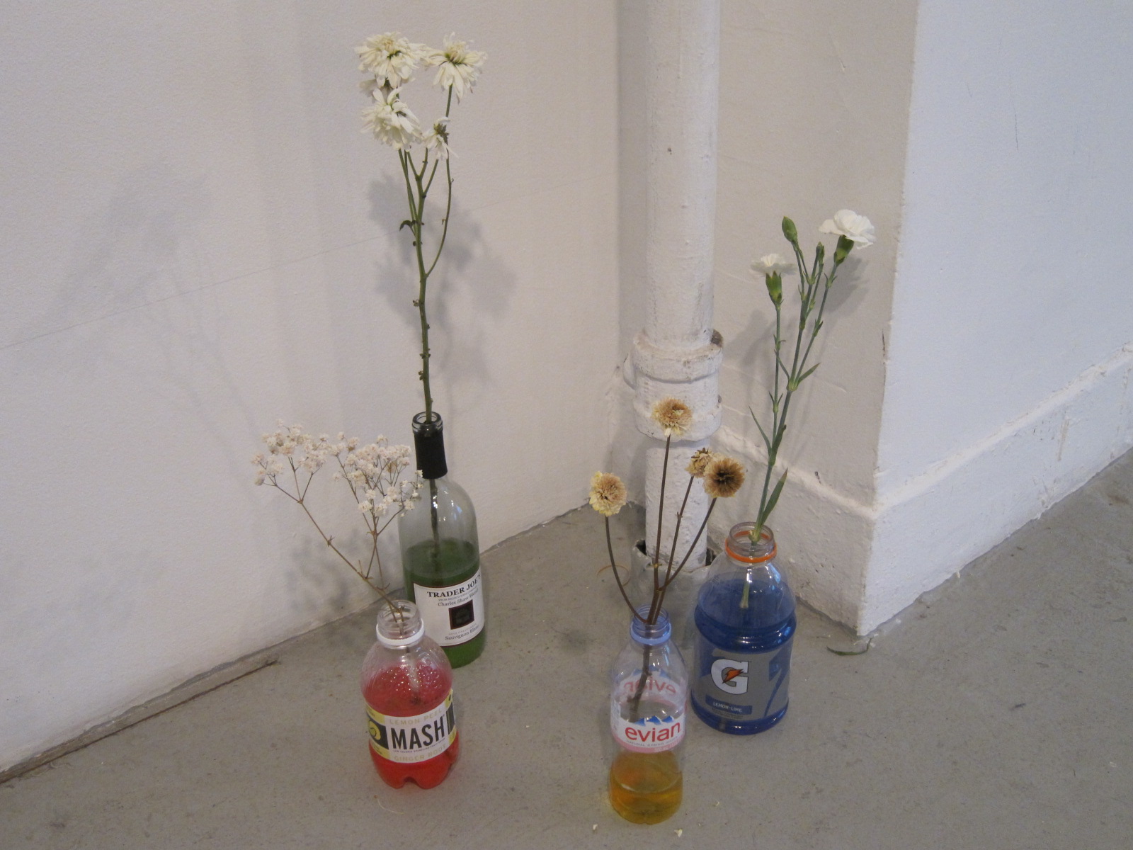   Mia Goyette,   Antifreeze (Fortified Flower Vases) , 2012-present. Fresh flowers, food color, water, bottles.   