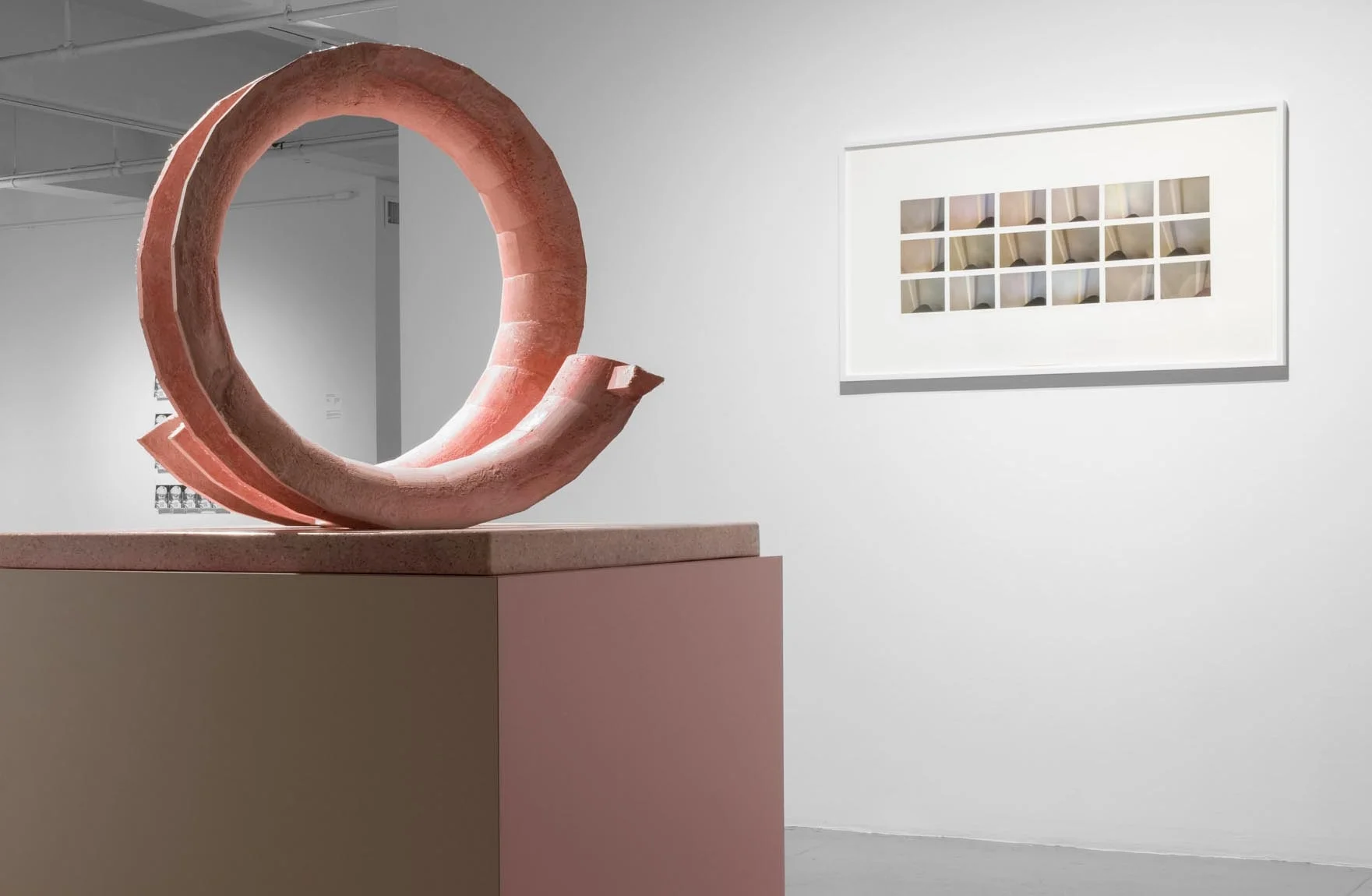 Image: Progeny! installation view of Julian Hoeber, "Pink Tube," 2016 (courtesy of Blum & Poe), and Ditta Baron Hoeber, "8 Minutes 52 Seconds (from the series Proximity)," 2013. Photography: Sebastian Bach. 