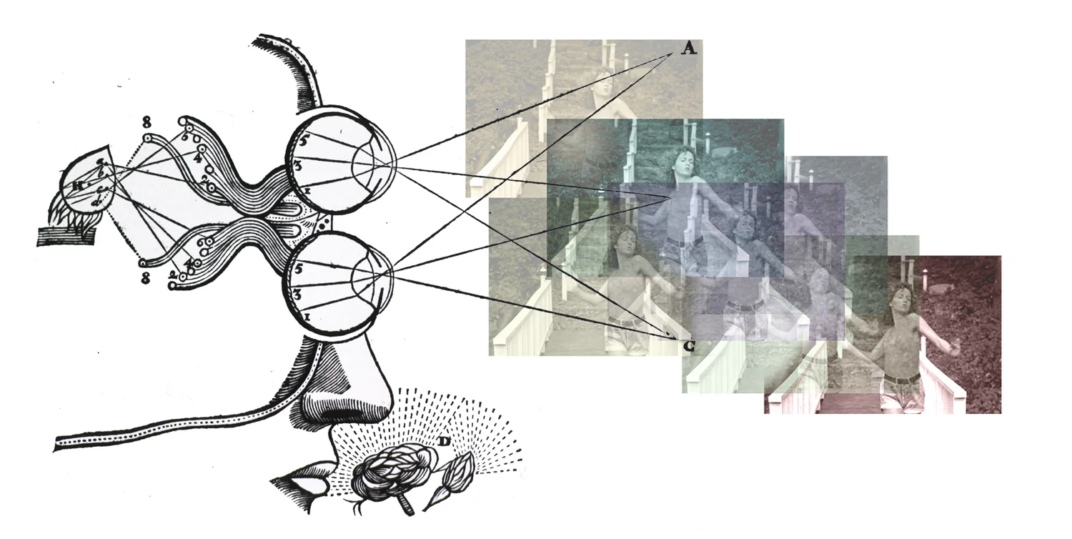 Seven Senses Efa Project Space