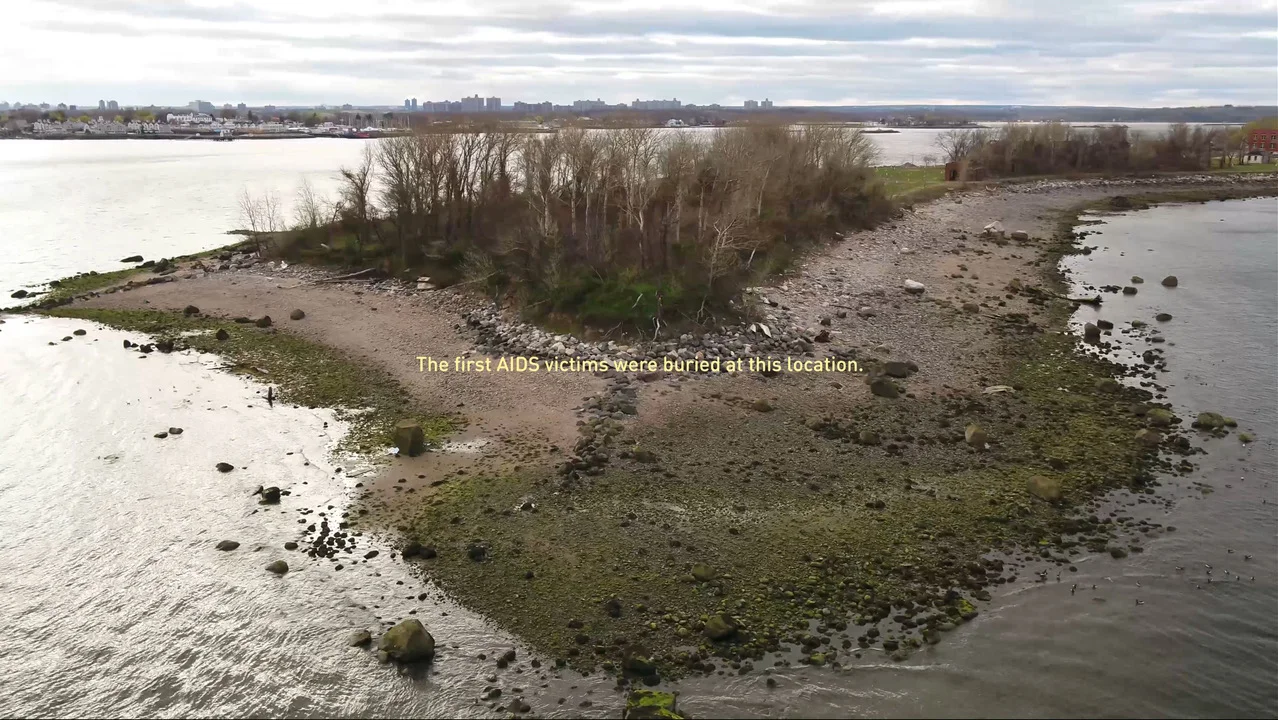 Curatorial Walk-Through for In the Presence of Absence