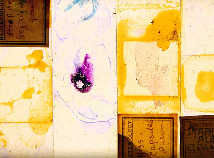Campbell_Friends+of+Friends+(Six+Degrees+of+Seperation)+Detail - Crystal Z Campbell (1).jpg