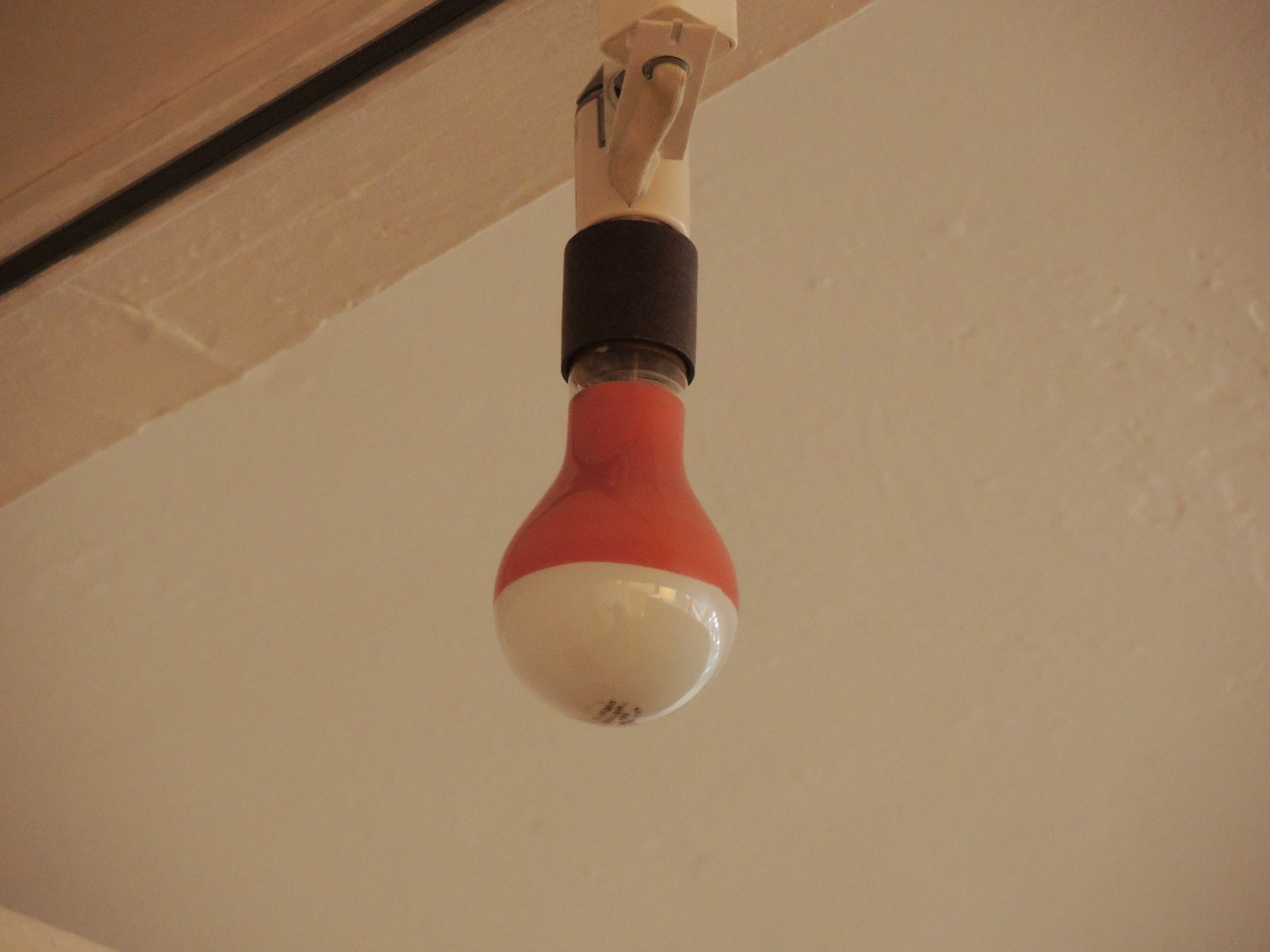 Rose neck bulb with mogul base. 