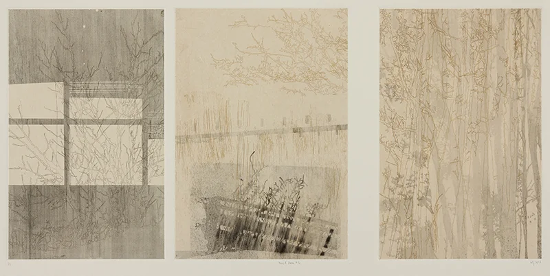 nif hodgson Here & There #3c , 2013 Multiple plate etching, with screenprinted charcoal powder