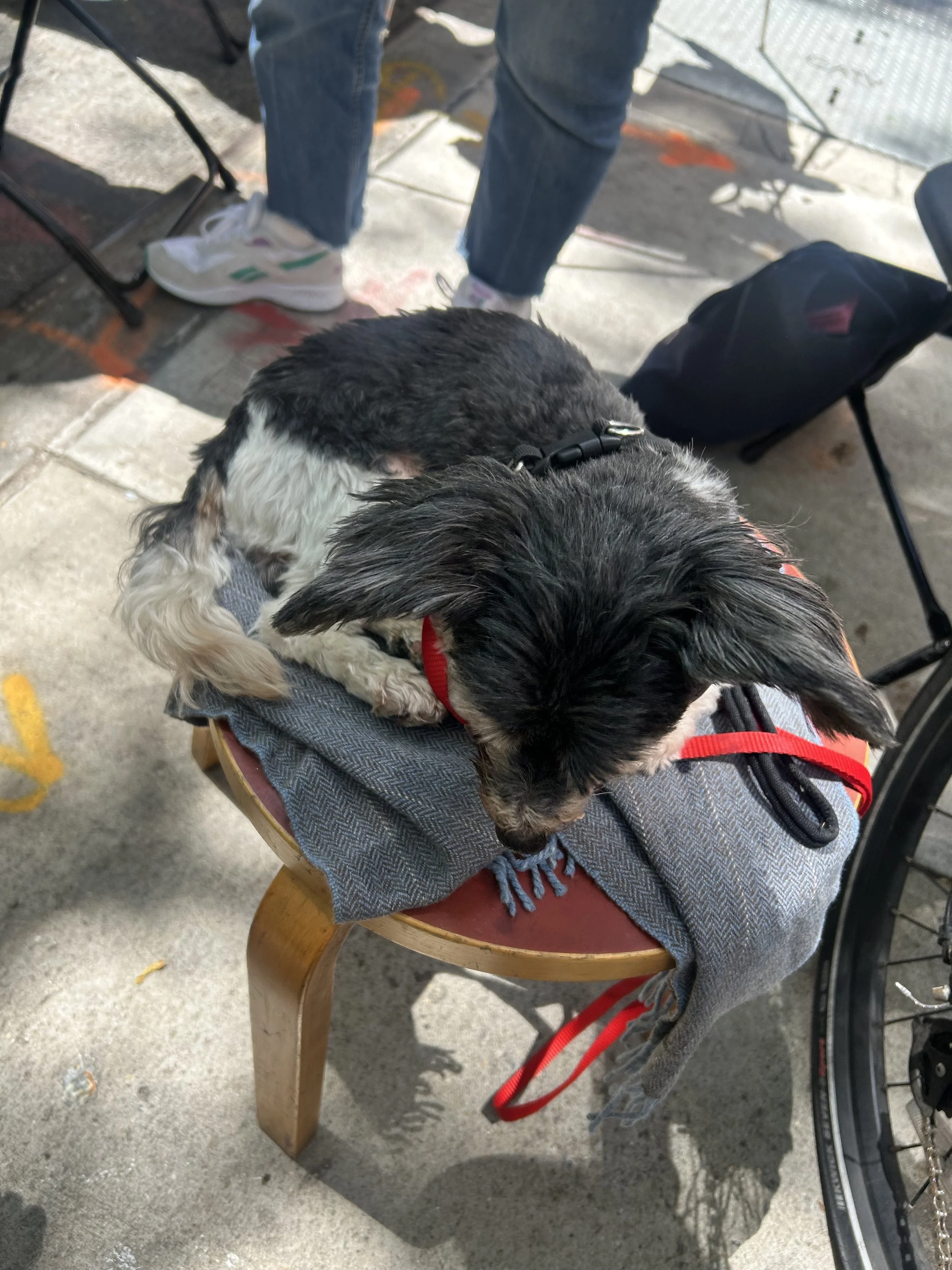IMG_0793.jpeg