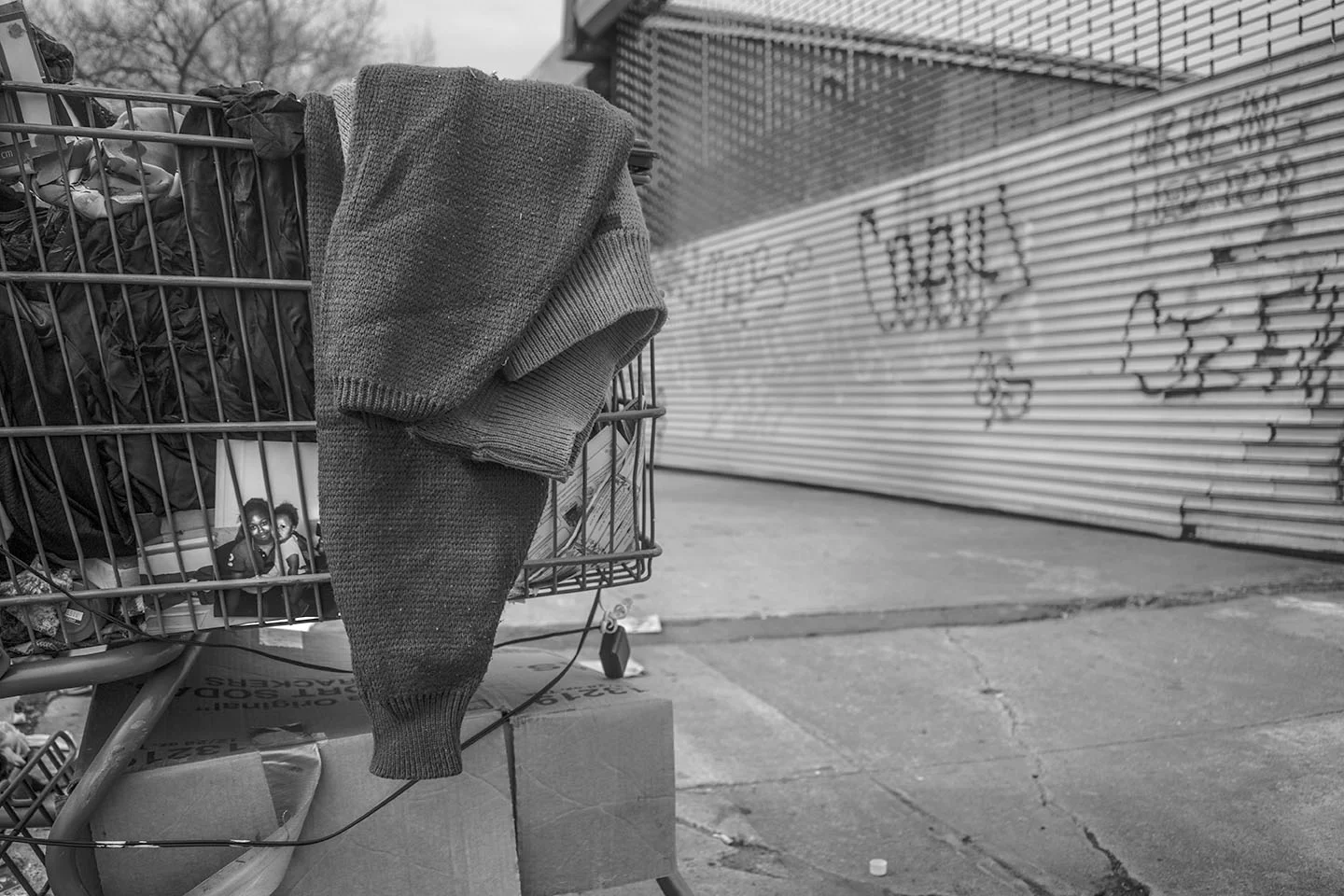 homeless lady picture cart.jpg