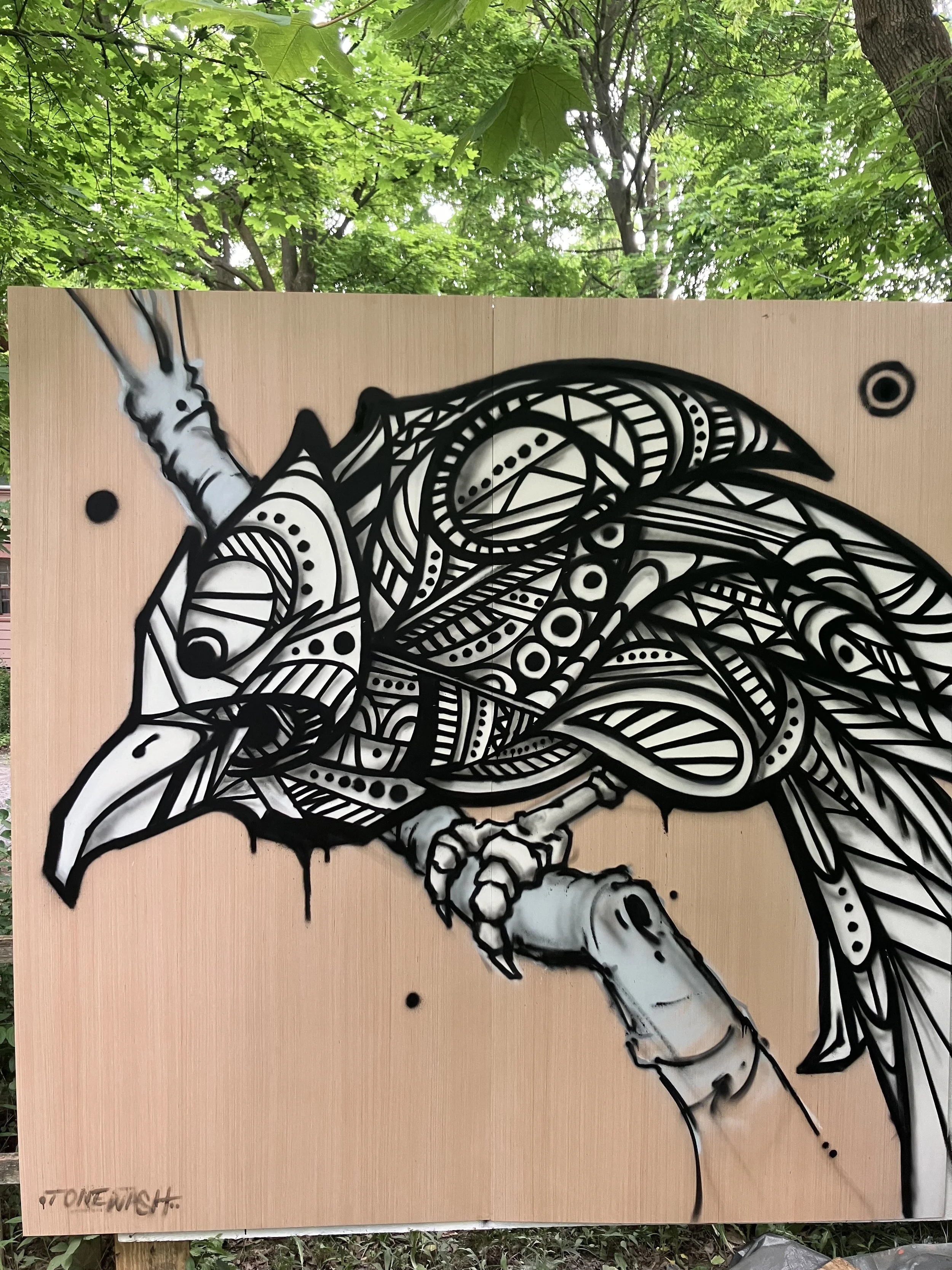 BACKYARD RESIDENCE - SYRACUSE, NY