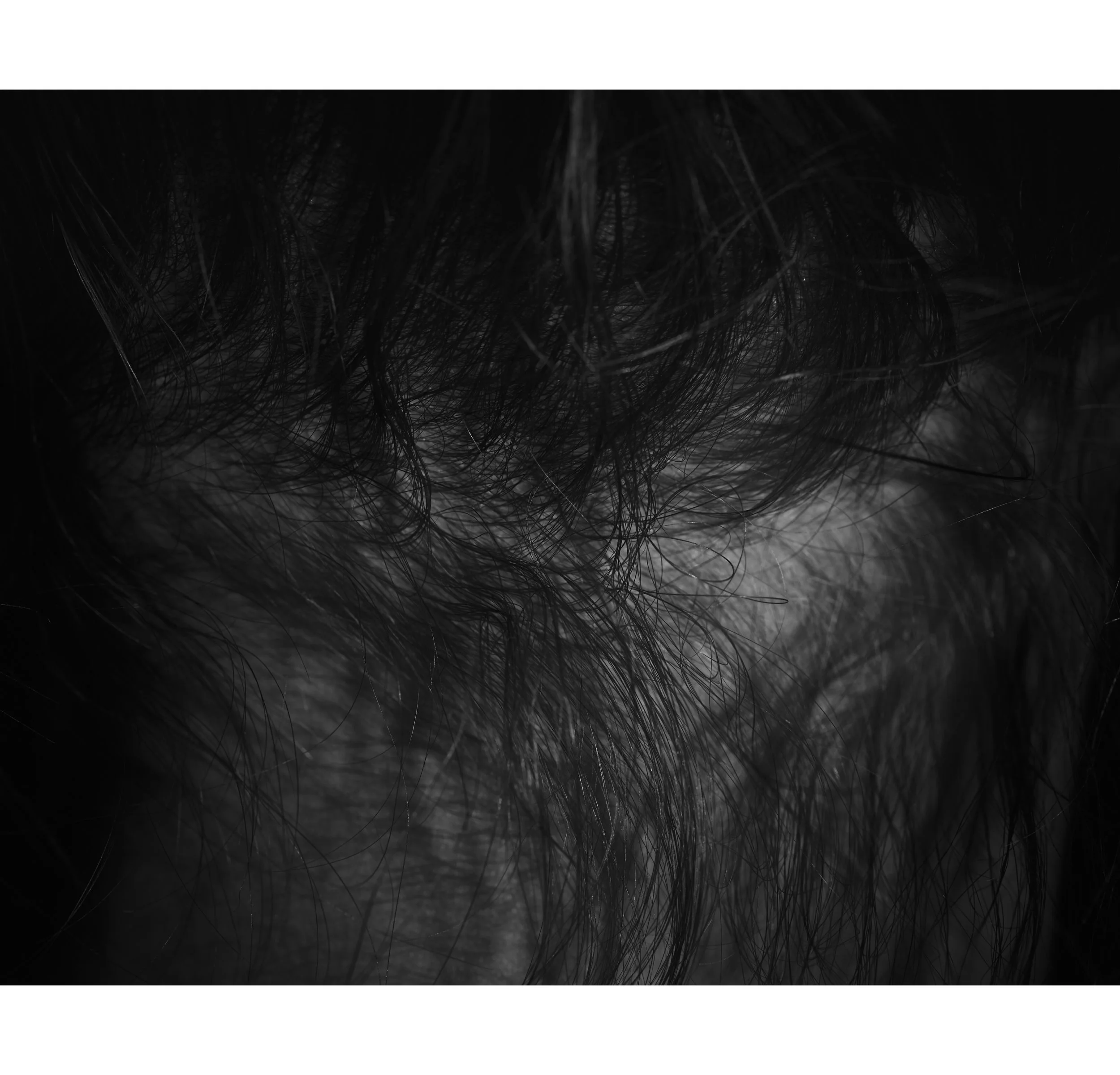  Portfolio: www.alexharbich.com 