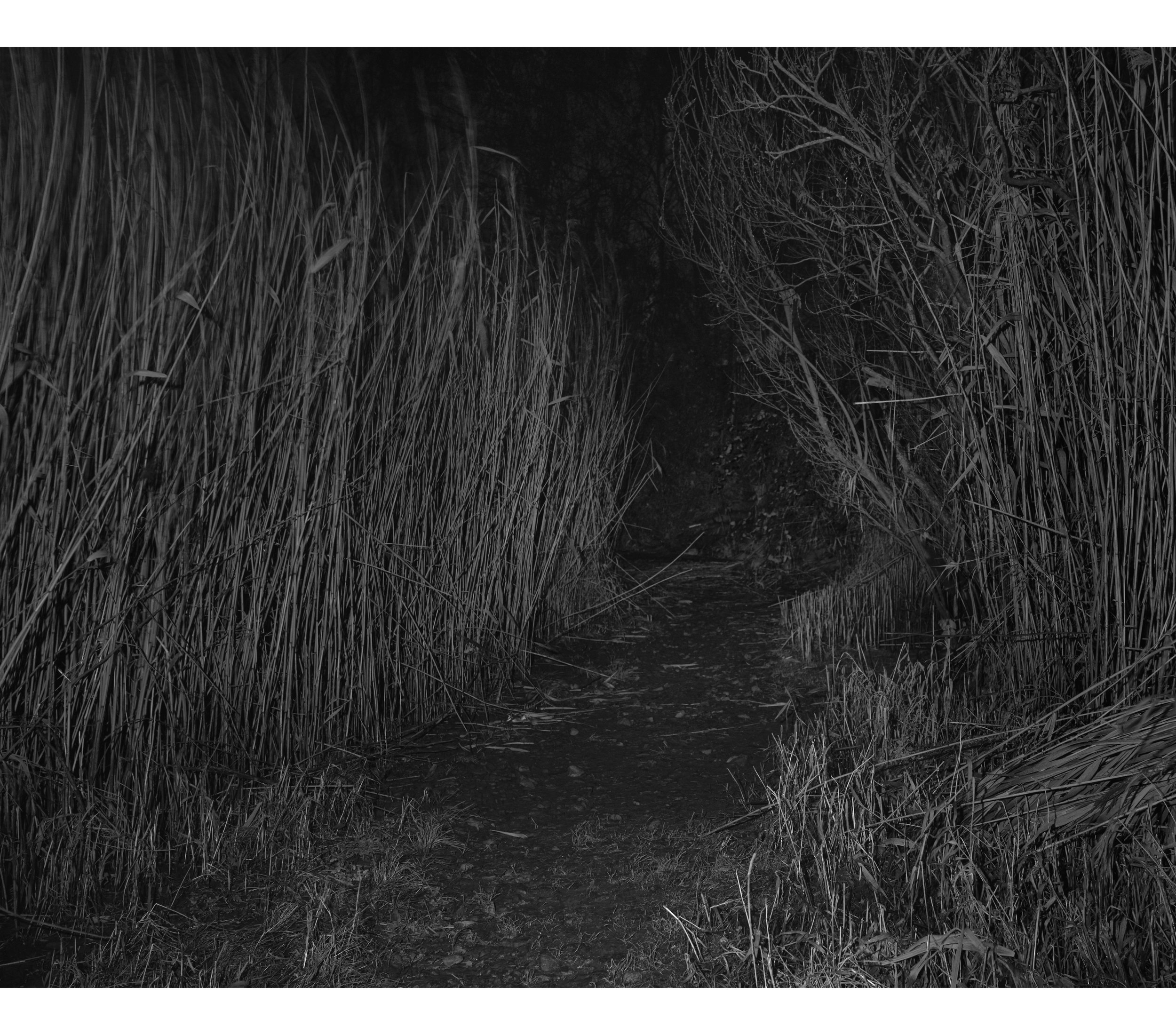  Portfolio: www.alexharbich.com 