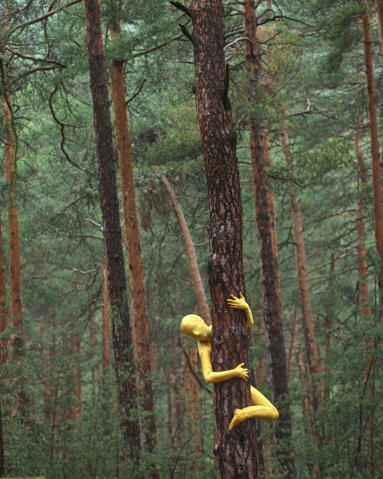 ENTITIES AND THE BARE