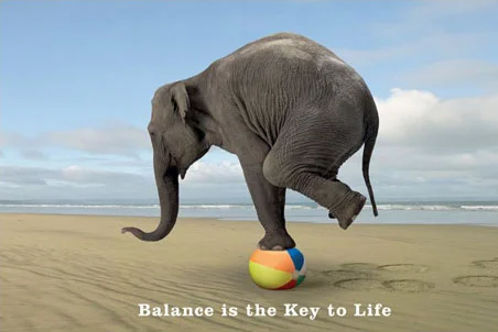BalanceElephant.jpg