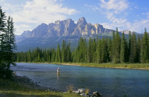 FlyFishing.jpg
