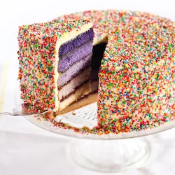 SprinkleCake.jpg