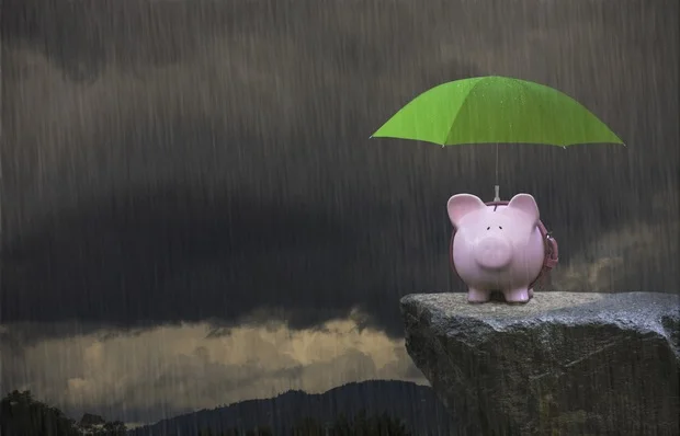 weatherpig.jpg