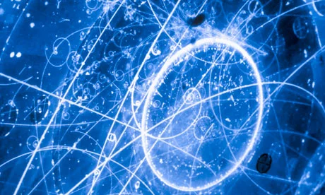 Neutrinotracks.jpg