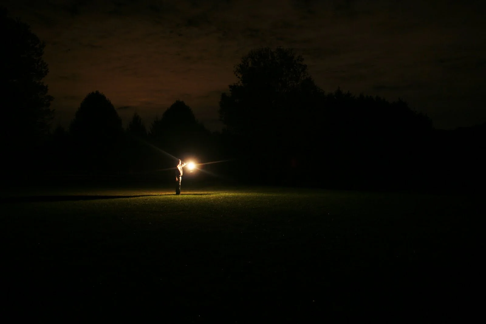 CuriosityLight.jpg
