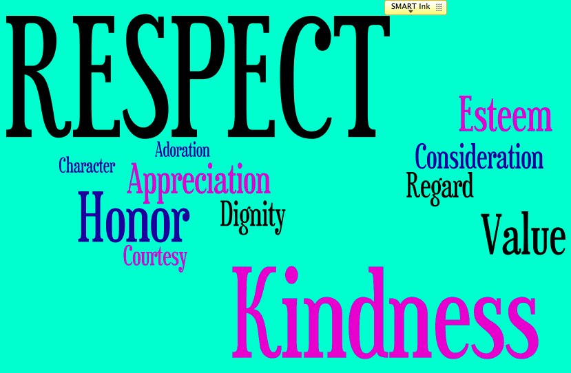 is respect a value