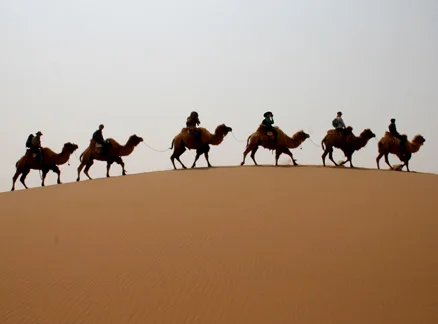 CamelTrain.jpg