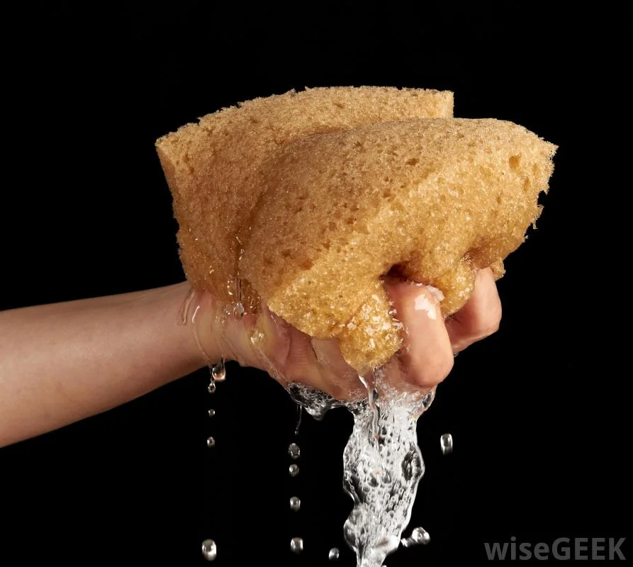 Sponge.jpg