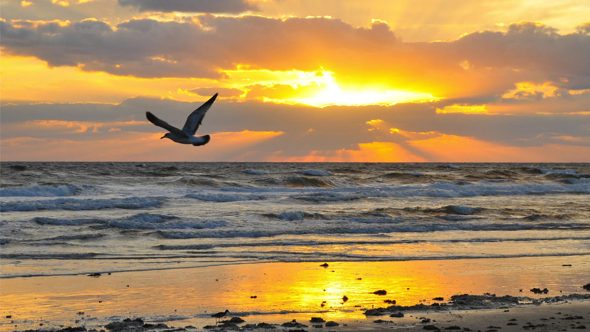 BeachSunrise.jpg
