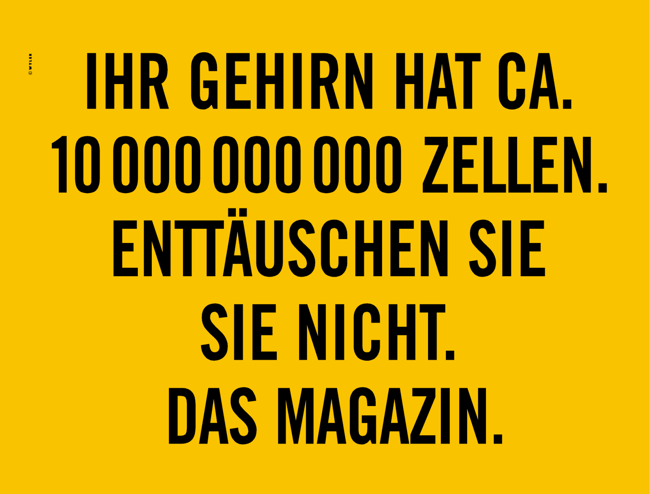 WYLER WERBUNG DAS MAGAZIN