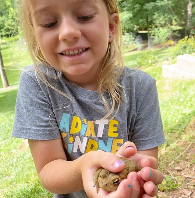 6.27.20
🐸 the star of this weekend is Precious the American Bullfrog. She is very tolerant. Yes. We have determined that she is a she. Somehow she survived the day (and Sunday too, amazingly). A close second is the pressure washer. We bonded alllll 