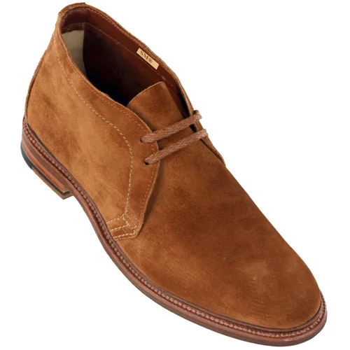 About the Alden Leydon Last — Color 8