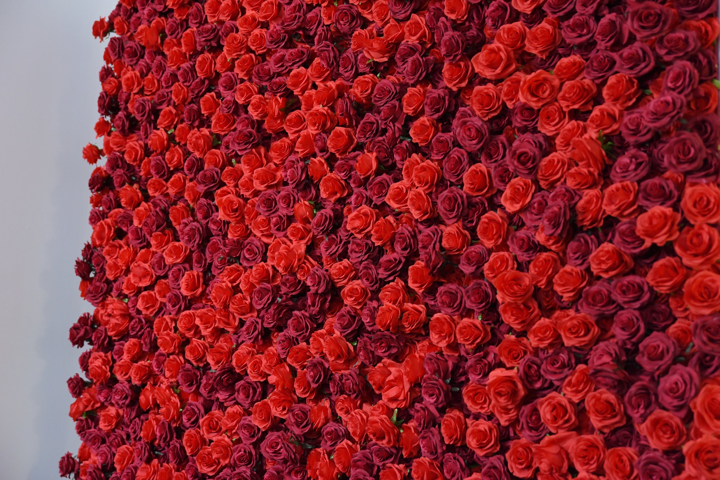 eyeObee FlowerWalls - The LUX REDS.jpeg