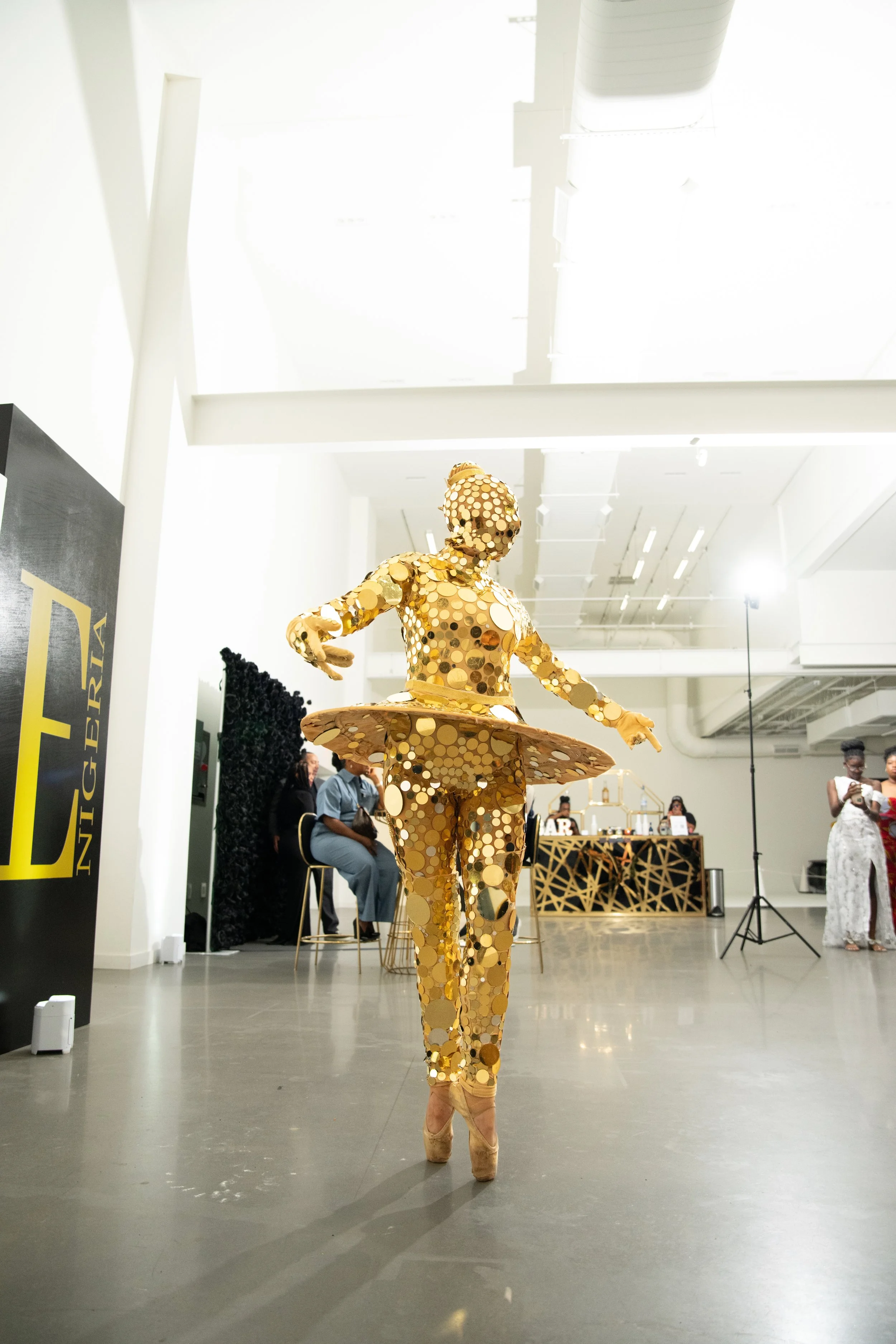 Ibrahim Badru - The Wandering Eye - Eyeobee ART - Nigeria Series 2024_341.jpeg