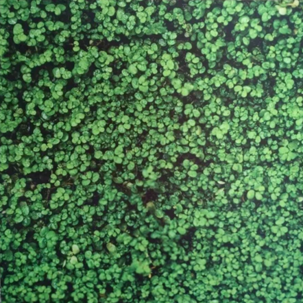 69469146_927296487607821_2958866905097568256_n.jpg.png