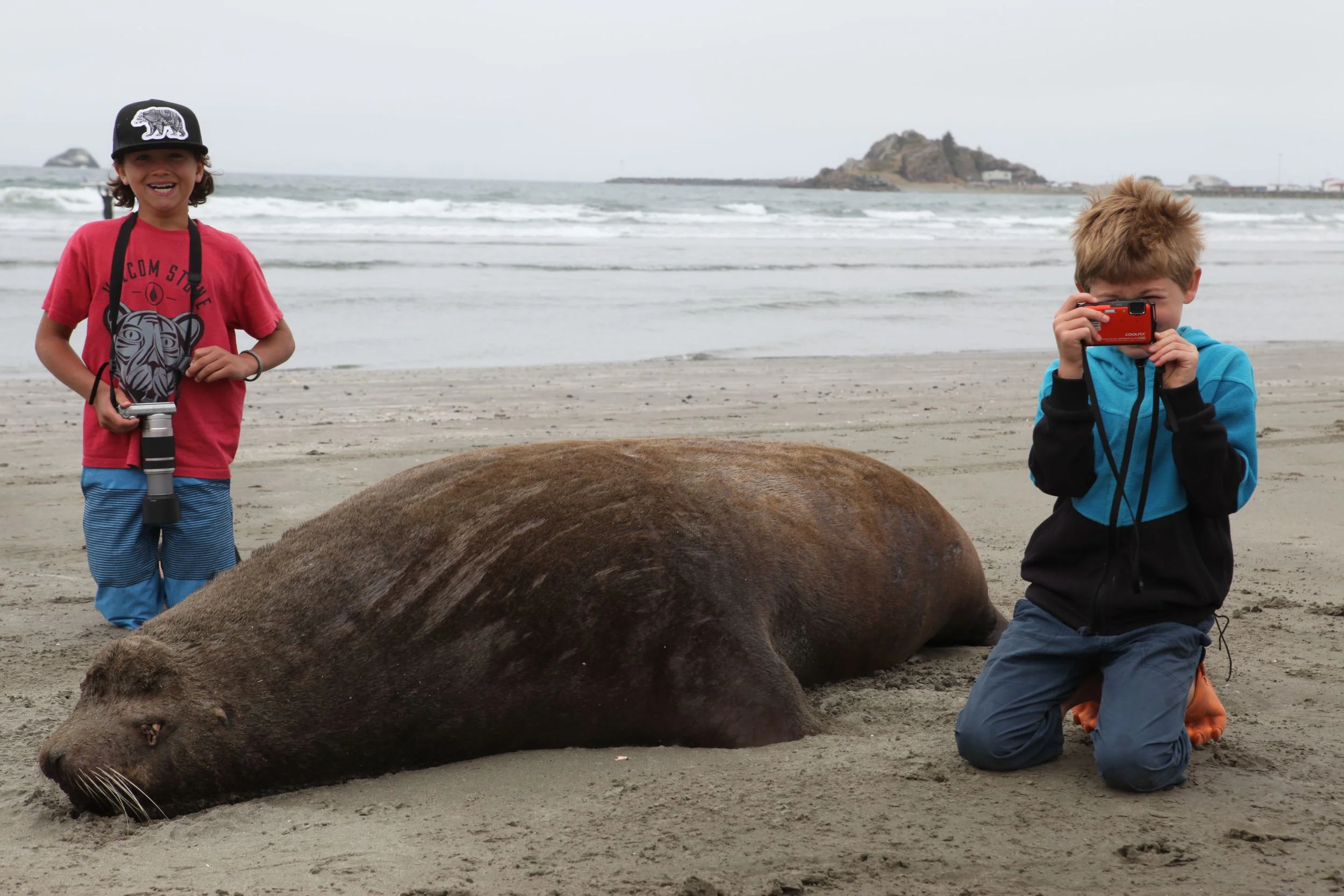 Wildlife Photography 101