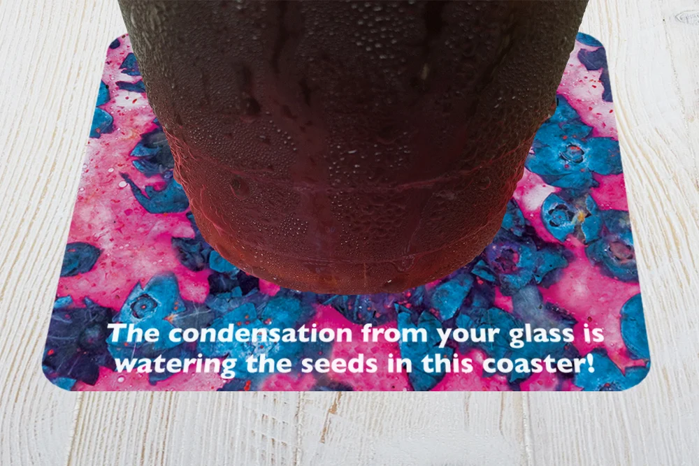 coaster.jpg