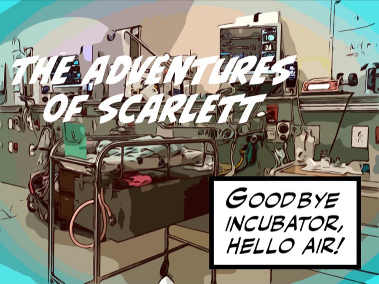 Goodbye Incubator Hello Air Page 001.jpg
