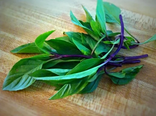 Thai Basil