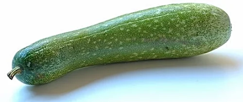 Fuzzy Squash