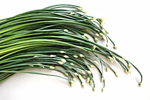 Chive Flower