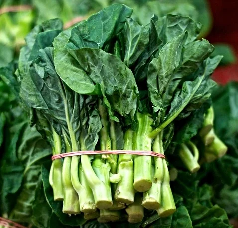 Gai Lan (Chinese Broccoli)