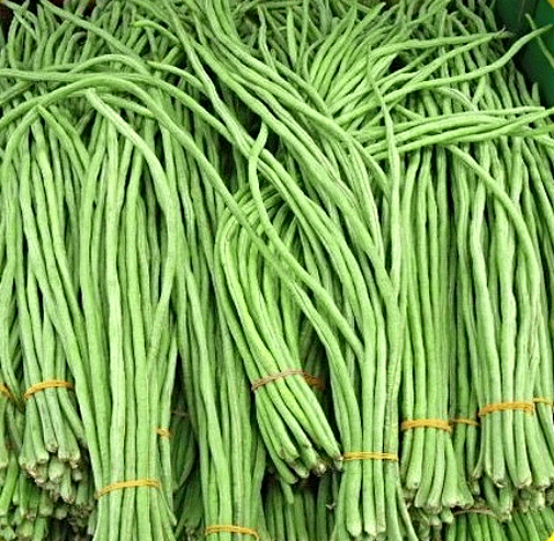 White Long Bean