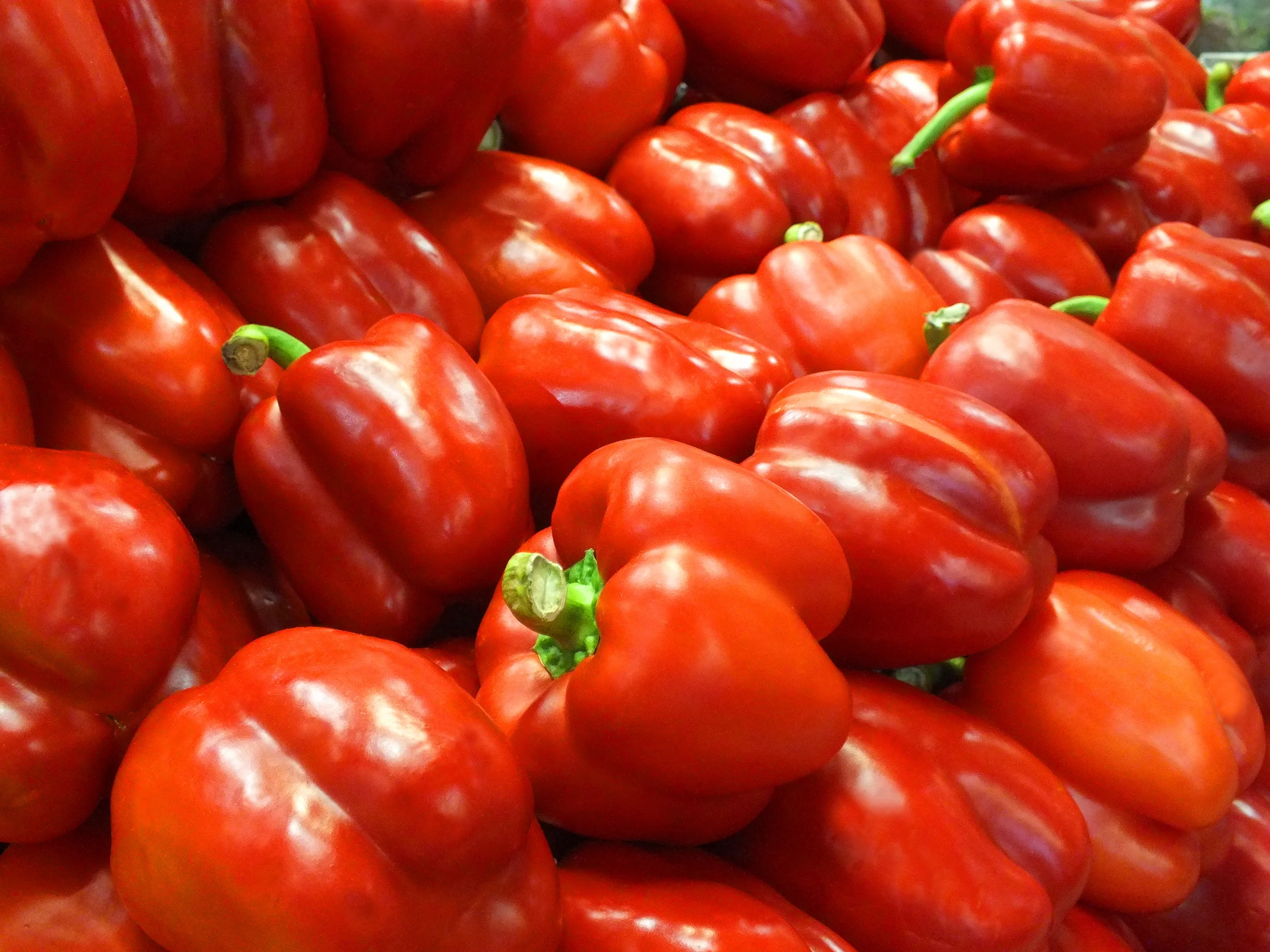 red bell pepper.JPG