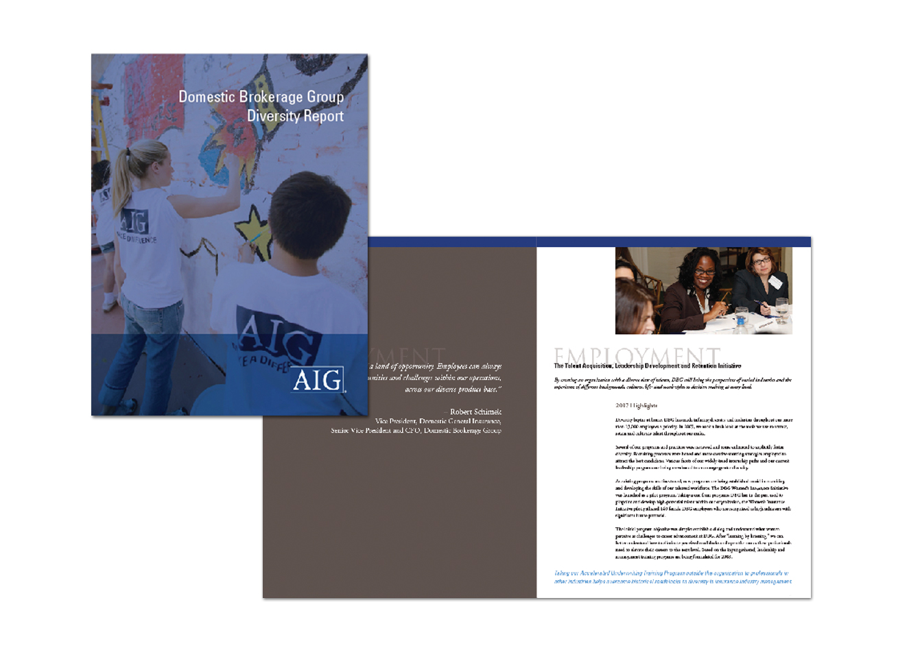 AIGDomesticBrochure.jpg