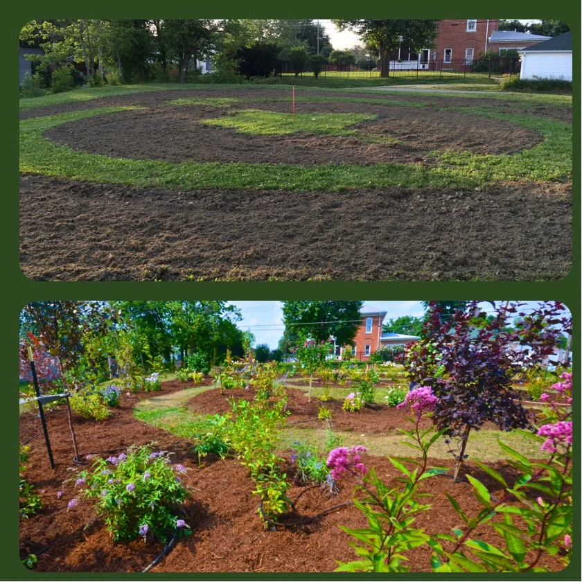 Changing Our Community One Garden at a Time: The newly tilled plot on June 27th, 2014 on the top picture and the bottom picture taken on August 2nd, 2014 showing the transformation of the property.