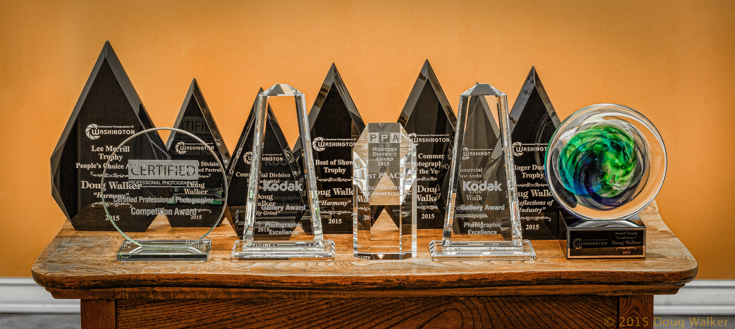 2015 Professional Photographers of America Western District Competition