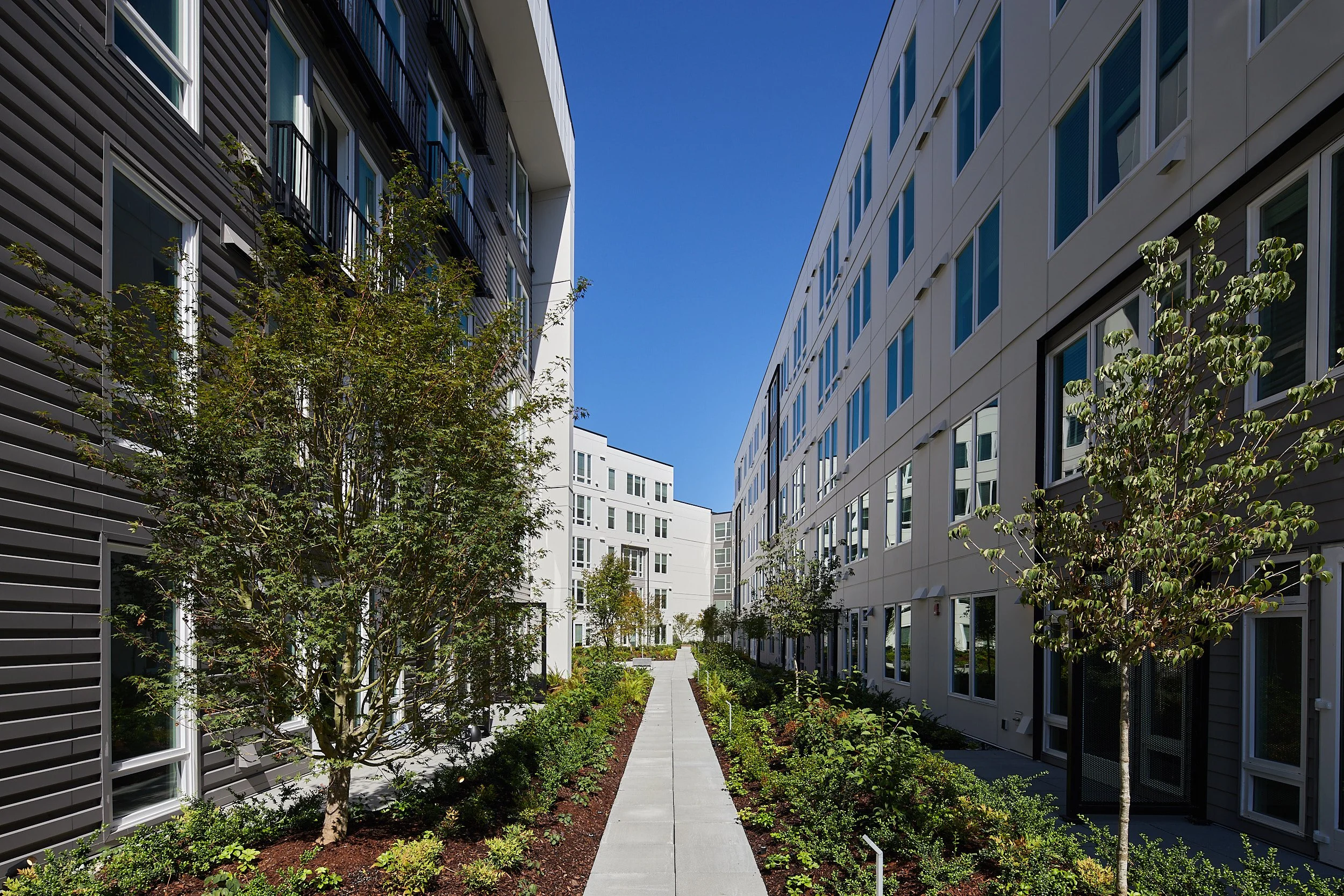  Alexan Shoreline Apartments Graham Shoreline, Washington 
