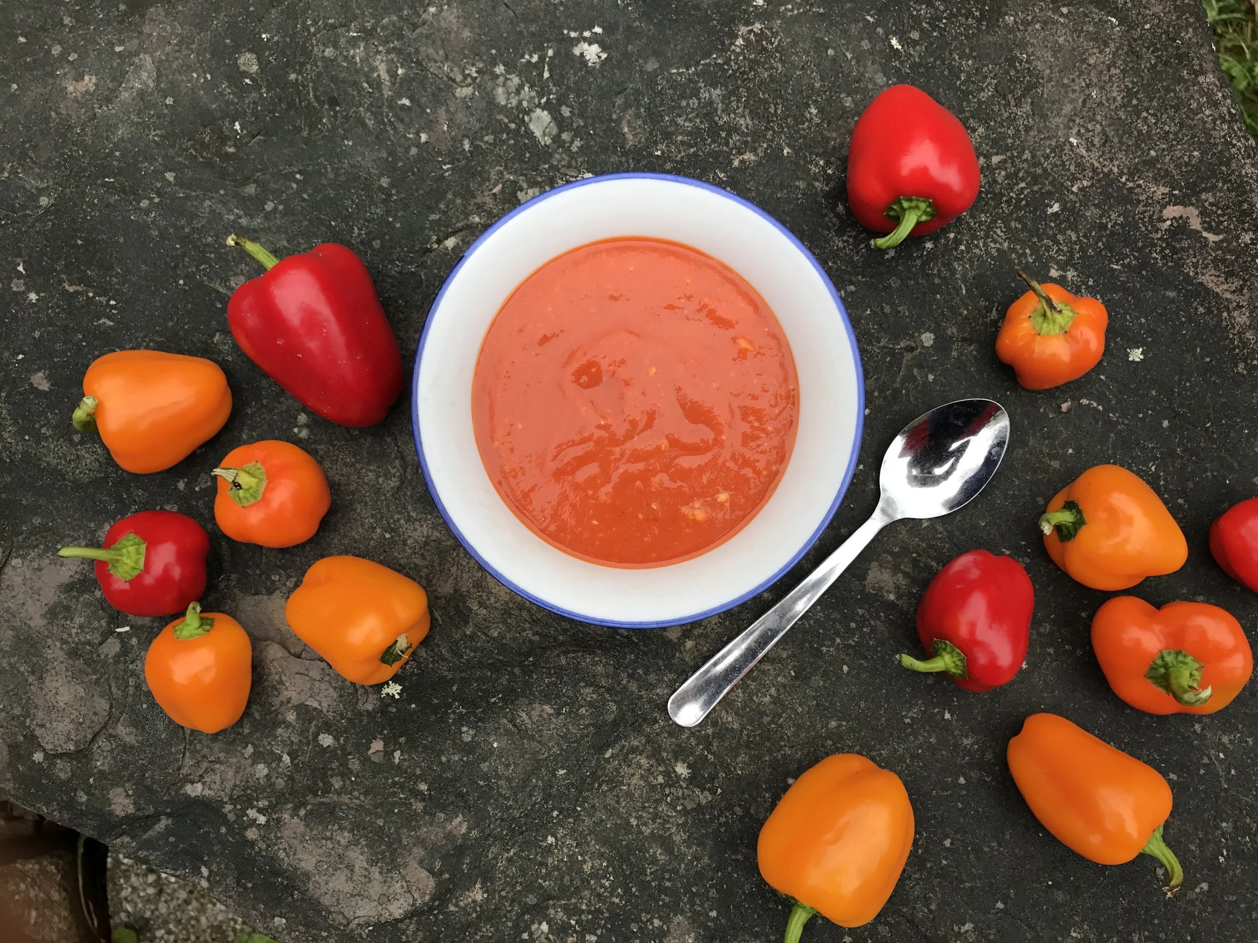      

 
   Roasted Red Pepper Soup     The Fall weather is finally drifting in bringing about shorter days and cooler temperatures. I'm ready to curl up in a blanket and snuggle by the fireplace with a warm bowl of soup. This roasted red pepper soup